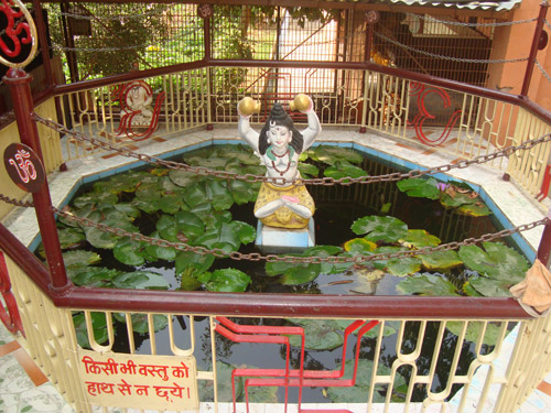 Beautiful pond in ashram