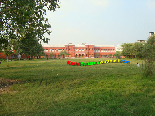 CM Anglobengali College Varanasi