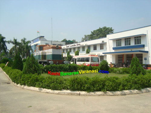 Diesel Locomotive Works