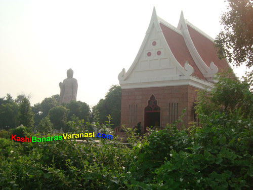 Buddha Temple